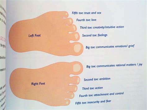 <b>Toe</b> readers claim to derive their insight from the shape and condition of the digits on each foot. . Spiritual meaning of big toe